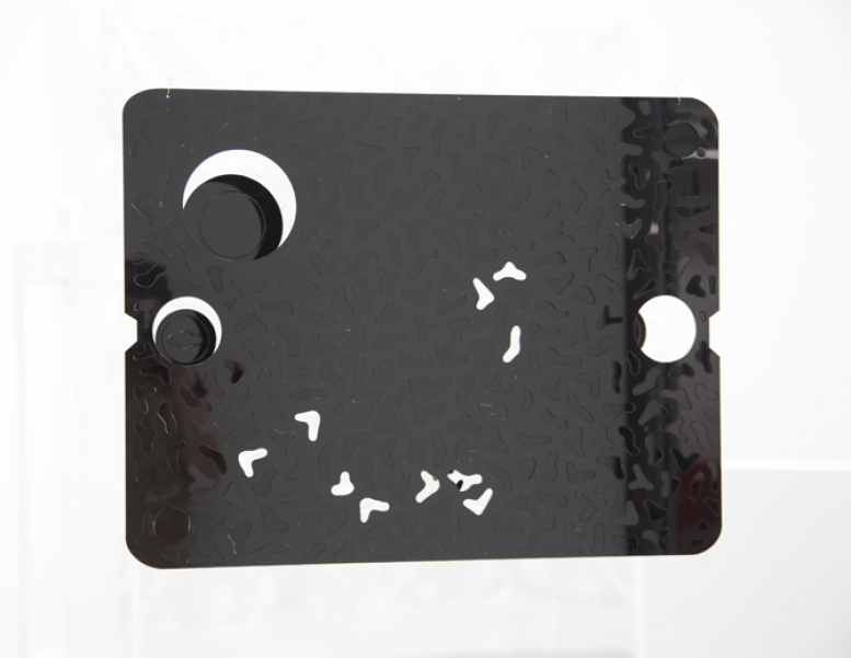 https://www.benediktesander.com:443/files/gimgs/th-32_3Z1A6116-crop-highpass-web.jpg