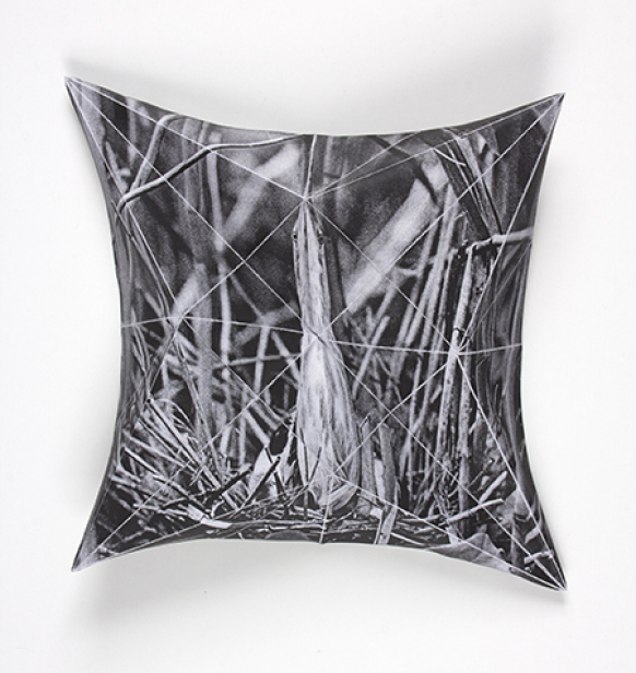 https://www.benediktesander.com:443/files/gimgs/th-19_stretched-bird-base-200k.jpg