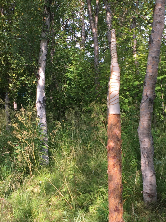 https://www.benediktesander.com:443/files/gimgs/th-98_IMG_5489-totem-oneofus-web-900-high.jpg