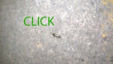 https://www.benediktesander.com:443/files/gimgs/th-44_click_v2.jpg