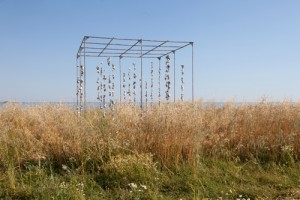 https://www.benediktesander.com:443/files/gimgs/th-5_1-IMG_0145.jpg