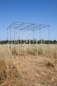 https://www.benediktesander.com:443/files/gimgs/th-5_3-IMG_0162.jpg