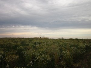 https://www.benediktesander.com:443/files/gimgs/th-5_4-IMG_4262-copy.jpg