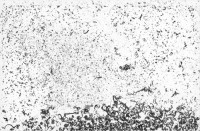 https://www.benediktesander.com:443/files/gimgs/th-7_tracing-horizon24-edit-grey.jpg
